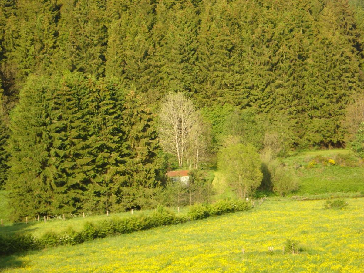 Location Panoramagreen Burg Reuland Eksteriør bilde